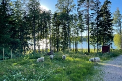 tilat-ainutlaatuinen-lapsuus