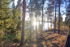 ymparisto